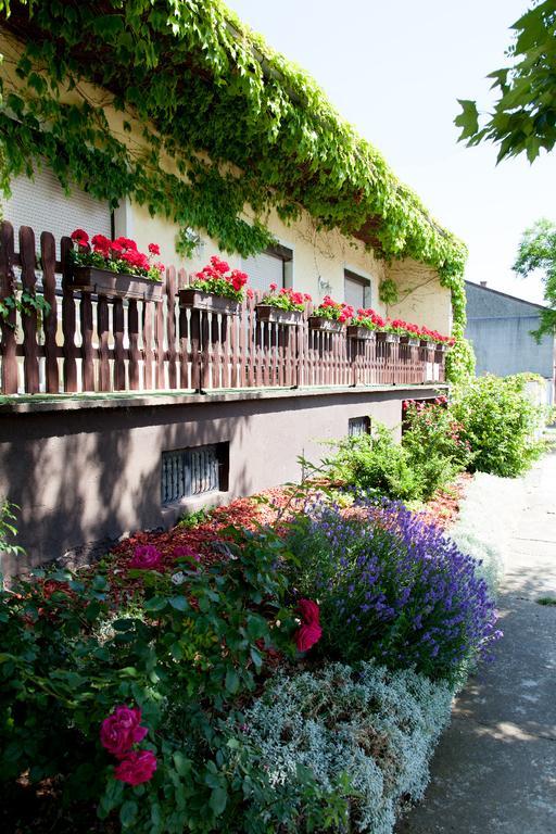 Haus Akazie Apartment Apetlon